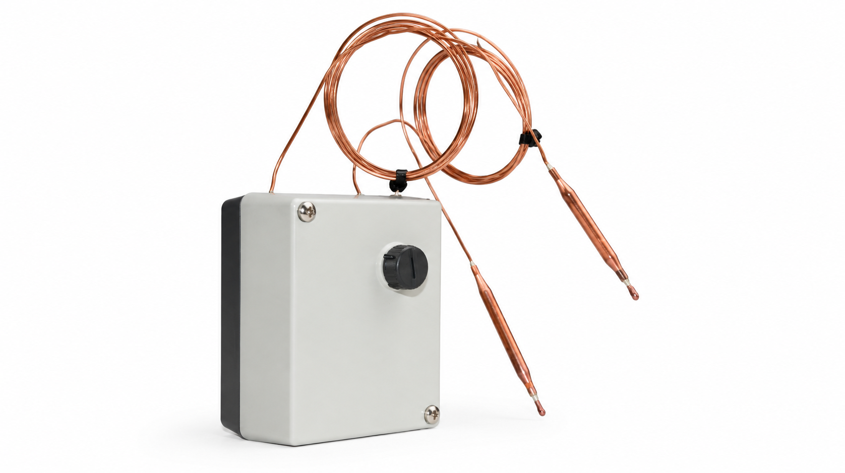 Doppelthermostat für Industrieanlagen